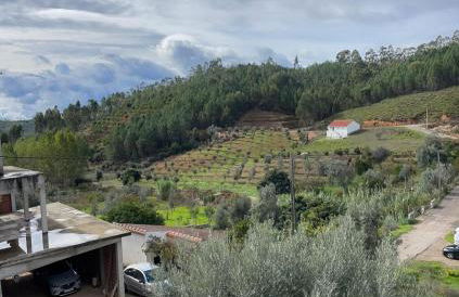 Alojamentos da Aldeia - Foto 36