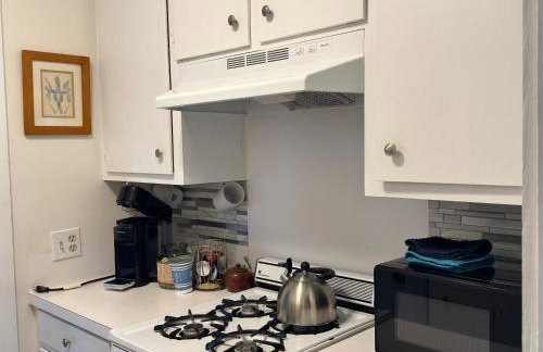 Wensel Cottage in downtown Natchez - Foto 3