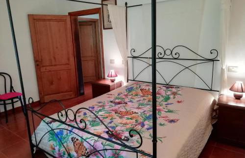 Podere Poggio Corbo - Foto 16