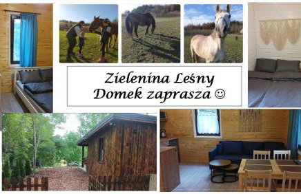 Zielenina Leśny Domek - Foto 1