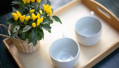 Casa Vacanze Lentisco by ElbaSummer - Foto 4