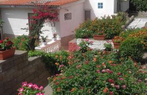 Villetta Mare Ventotene - Photo 17