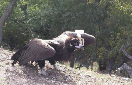 Hotel-Apartments La Strada - Foto 47