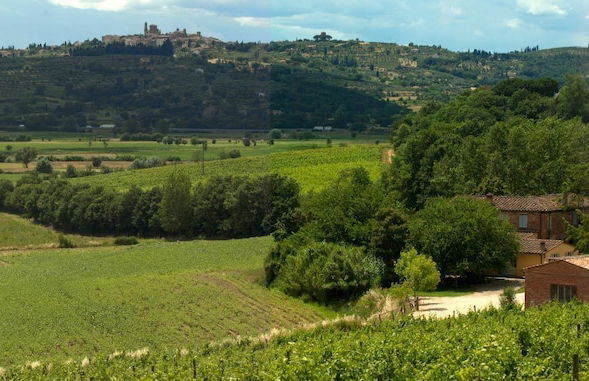 Agriturismo Fattoria Santa Vittoria - Foto 42