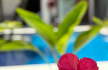 Jardim do Rio Suítes - Foto 69