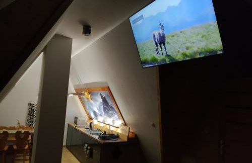 Apartamenty Krokiew - Foto 77