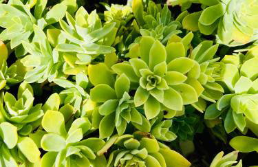 Manda Gradac - Foto 21