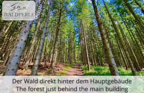 Exklusives 5-Sterne Apartment Waldperle mit Indoor-Pool, Sauna, top Lage und Ausblick in die Natur, Hunde willkommen - Foto 21