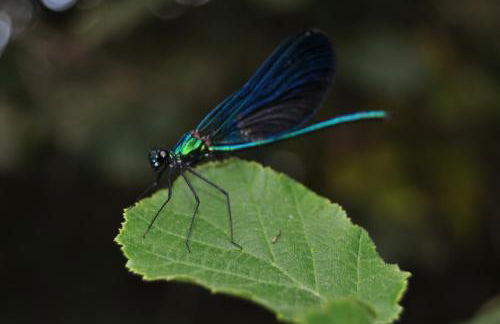 Apartamento "El Lilà" - Parking incluido - Foto 47