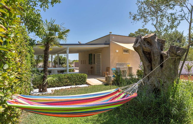 3121 La Cornula by Barbarhouse - Photo 26