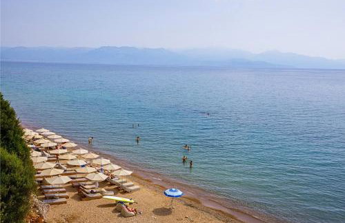 Panorama beach - Foto 74