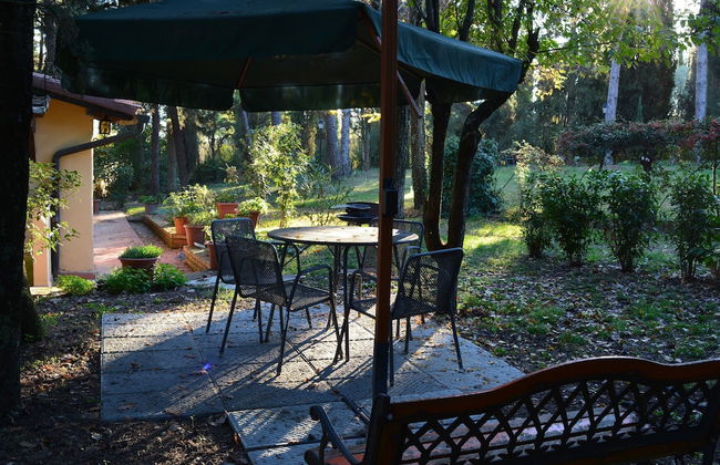 Fattoria Sant'Andrea - Photo 14