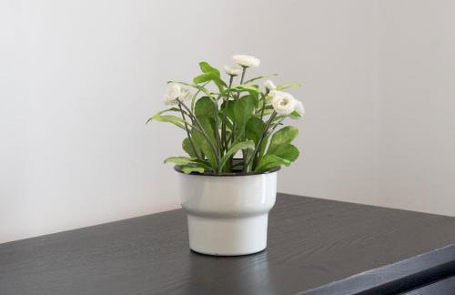 Pass the Keys 2BR House Garden Sleeps 6 Elizabeth Line - Foto 26