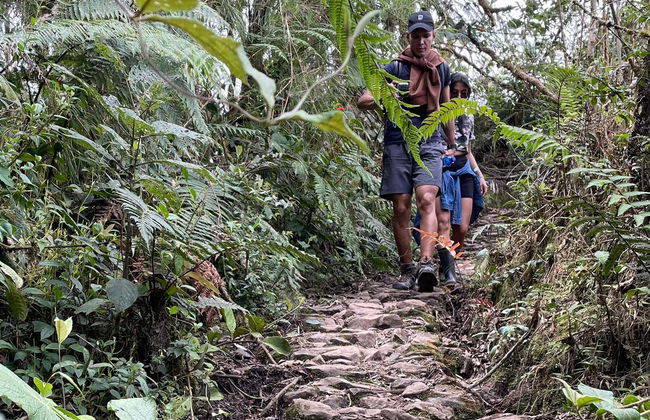 Excursão às veredas La Herrera e Serranías - Foto 4