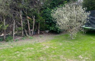 L’amazone - Foto 9