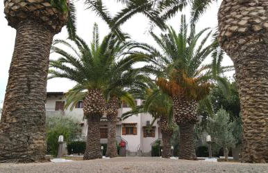 KRISSAIA SEASIDE SUITES - Photo 5