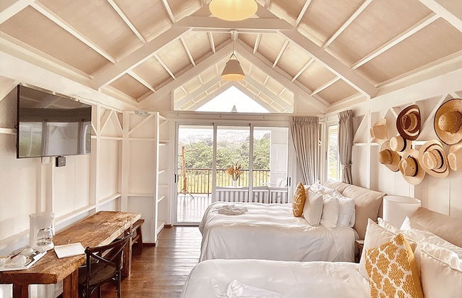 Finca San Cayetano - Photo 6