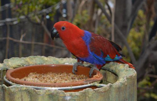 THE TEIDES WINDOW swimming pool LA VENTANA DEL TEIDE - Foto 33