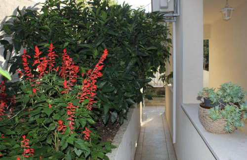 Apartments by the sea Ubli, Lastovo - 8355 - Foto 11