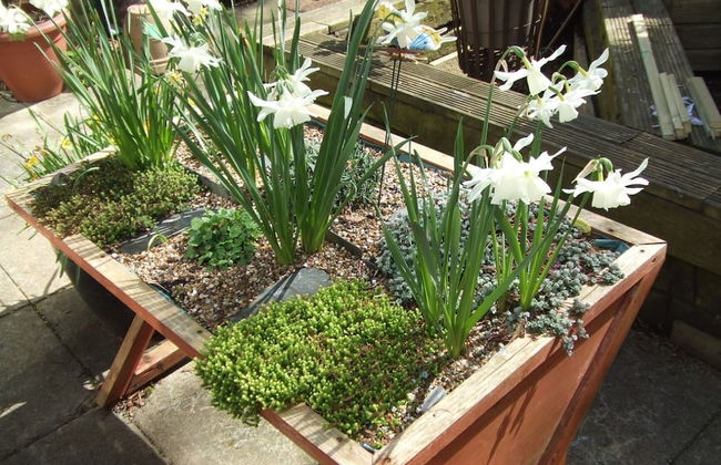 Queens Road Rental - Winchester Accommodation - Foto 28