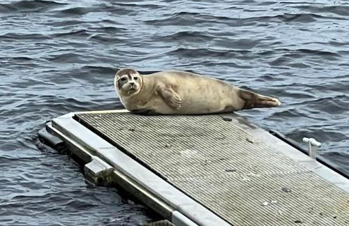 Ferienwohnung Ankerplatz 43 im Olympiazentrum Schilksee - Foto 33