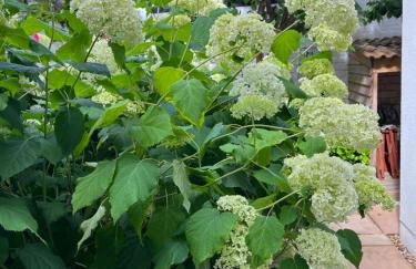 Eskbank Villa near Edinburgh - Photo 21