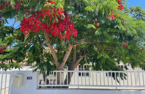 Casa Enamorado - Photo 24