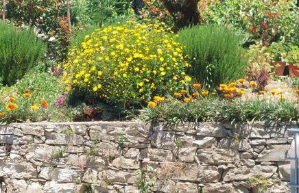 Quinta De Oliveiras - Foto 43