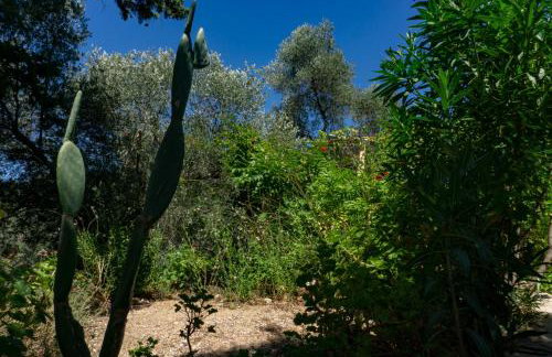 Cottage home at South Chania - Foto 11