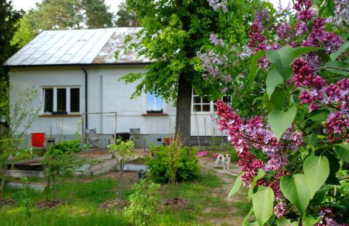 Augustówka - letnisko na Wrzosowiskach - Foto 5