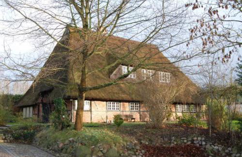 Ole Schün Dannau - Foto 39