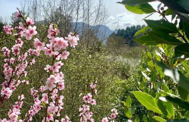 Casa Hijuela - Photo 25