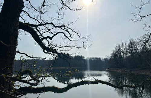 Fewo Körbecke am Möhnesee - Foto 51