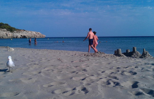 Vistamar Apartamentos - Photo 53