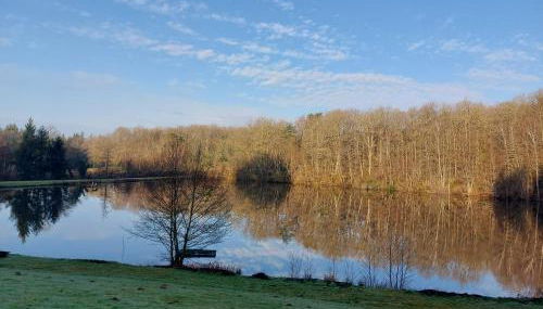 "Le petit bonheur" Gîte van 4 tot 12 personen met privé vijver van 2Ha - Foto 4