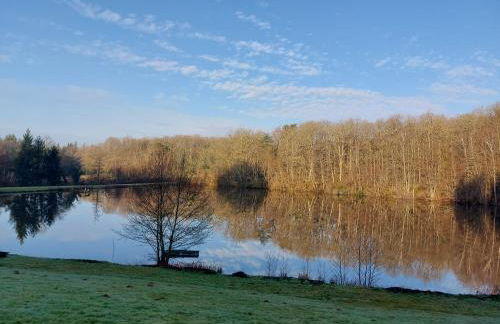 "Le petit bonheur" Gîte van 4 tot 12 personen met privé vijver van 2Ha - Foto 4