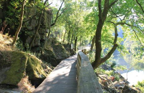 Casa da Bichaca - Foto 76