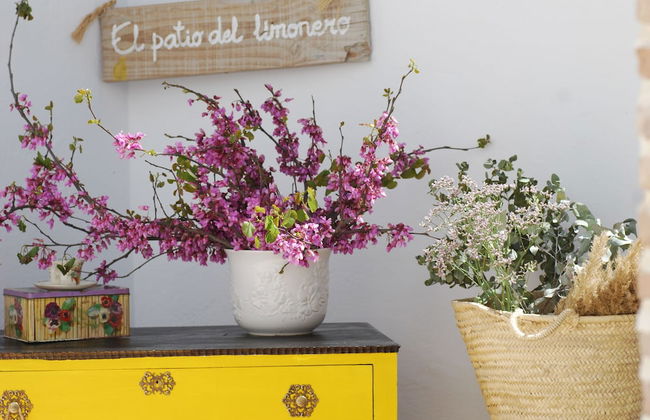 El patio del limonero - Foto 35