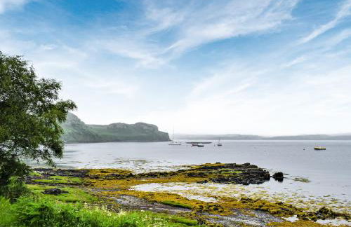 The Duckling - Foto 13