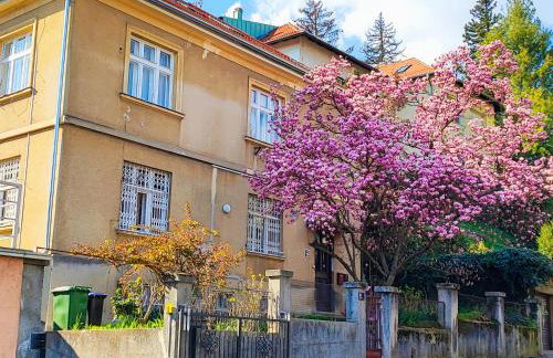 Studio apartmani L'ART - Photo 19