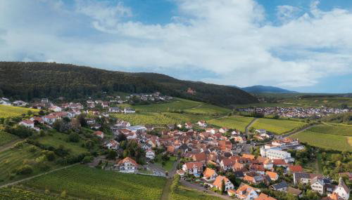 Winzerlodge, Wohnung Kirchberg - Foto 3