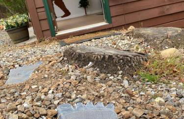 Peak-a-Blue Cabin - Watch Movies from Hot Tub, Mountain View, Bigfoot Bunker Game Room, Fire Pit, Oversized Deck, Screened-in Porch - Foto 38