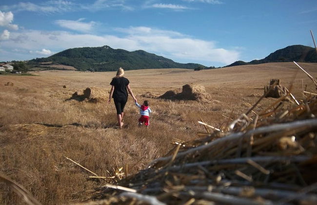 Casa Girasole Agriturismo Le Selvole Tuscany - Foto 27