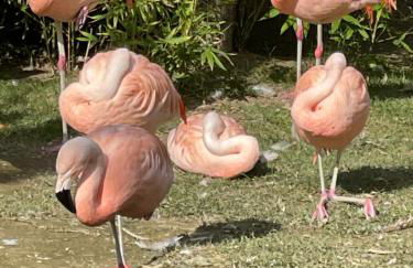 LunaSole Casa vacanza mare - Photo 56