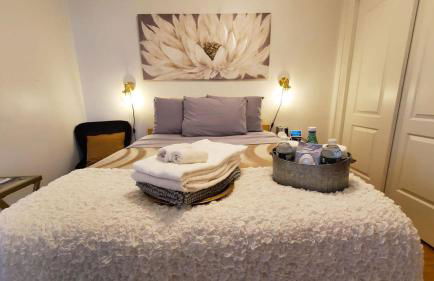 The Gold Room near downtown trains fast wifi - Photo 43