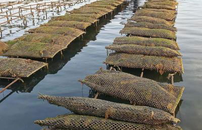Ti Louker - Appartement à 300m du Port - Photo 26