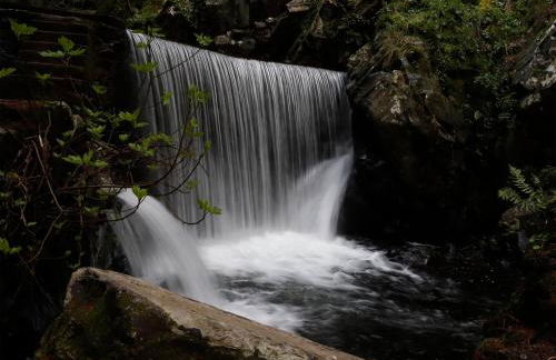 Casa da Rota dos Moinhos - Foto 26