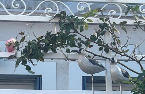 Maison de pêcheur atypique - Foto 27