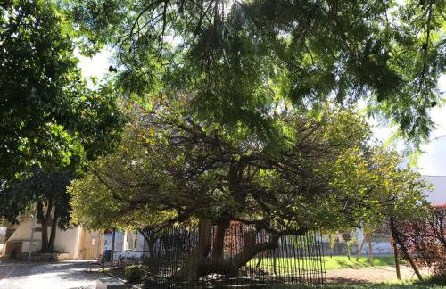 Apartamento Completo Regina - Foto 22