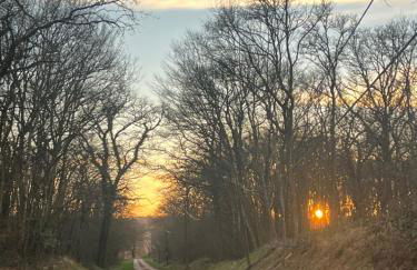 Mare aux nénuphars - Foto 42